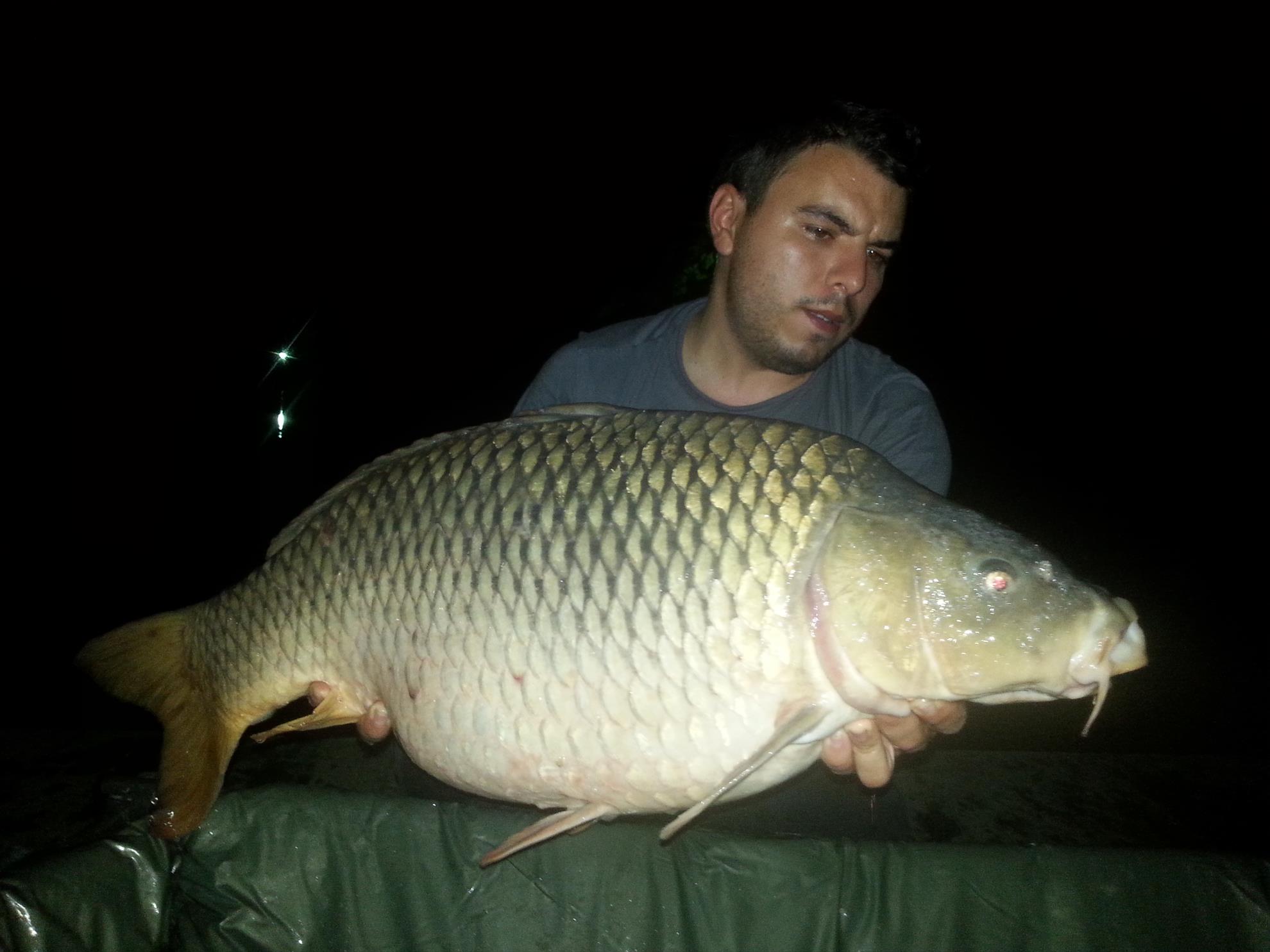 Moara Vlasiei 2 28 - 30 august 2015 - 20150829005045.jpg